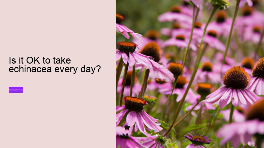 Is it OK to take echinacea every day?