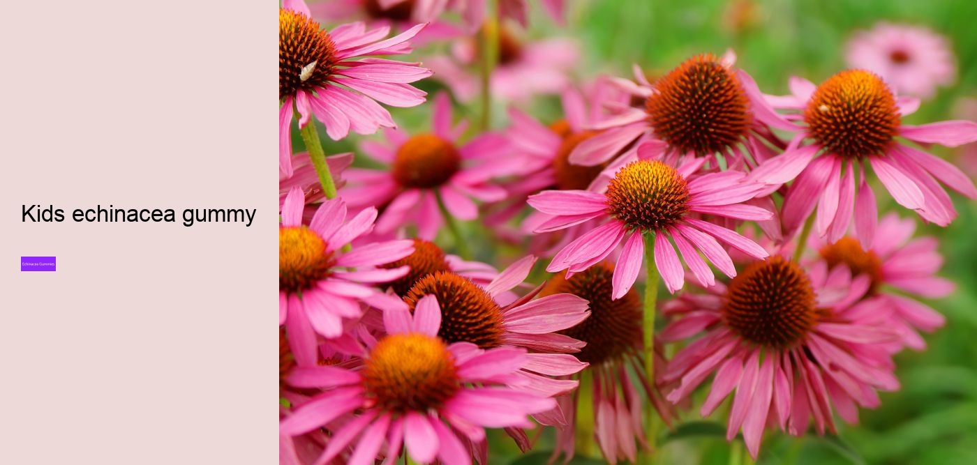 Who Cannot take echinacea?