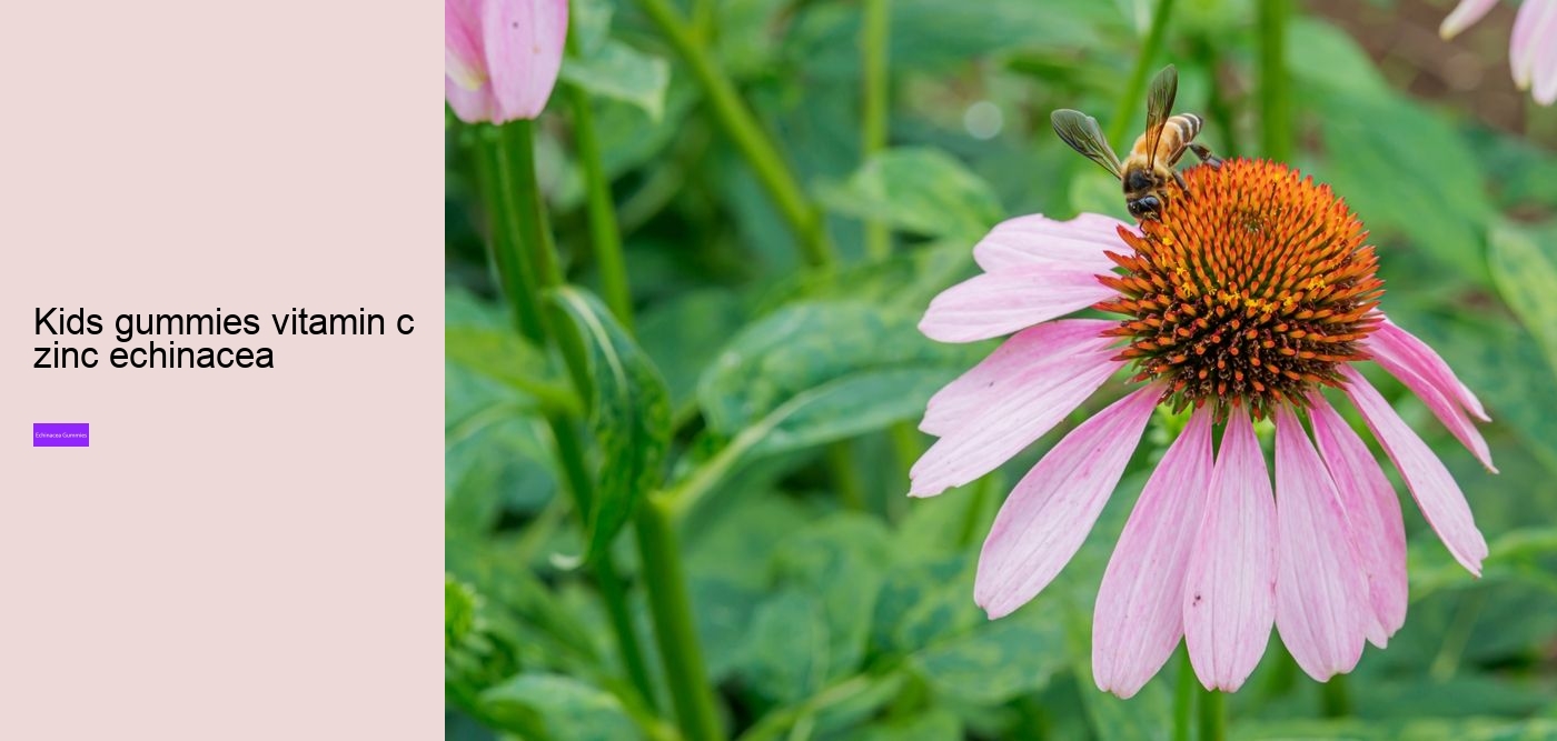 echinacea gummies for toddlers