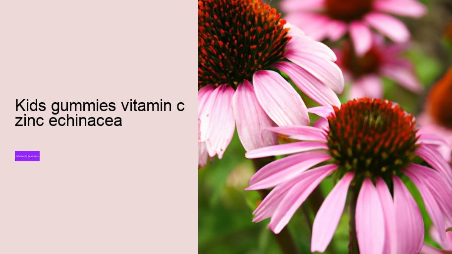 kids gummies vitamin c zinc echinacea