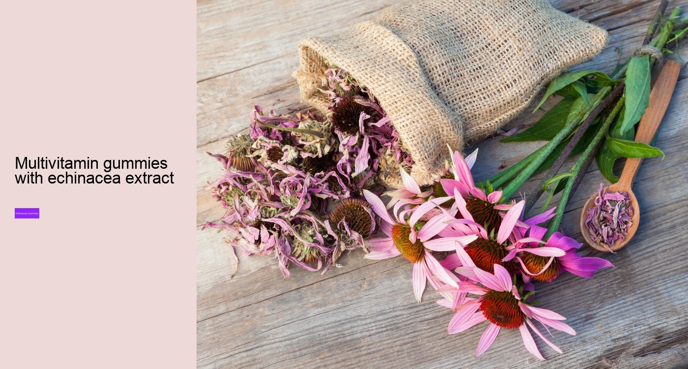 How long can you safely take echinacea?