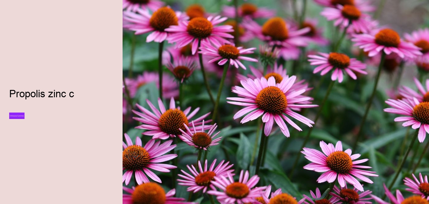 Does echinacea increase histamine?