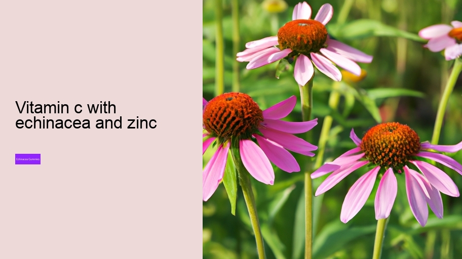 vitamin c with echinacea and zinc