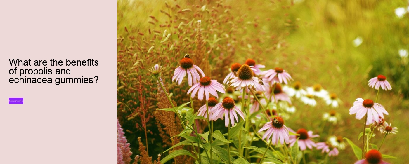 propolis and echinacea dietary supplement gummies