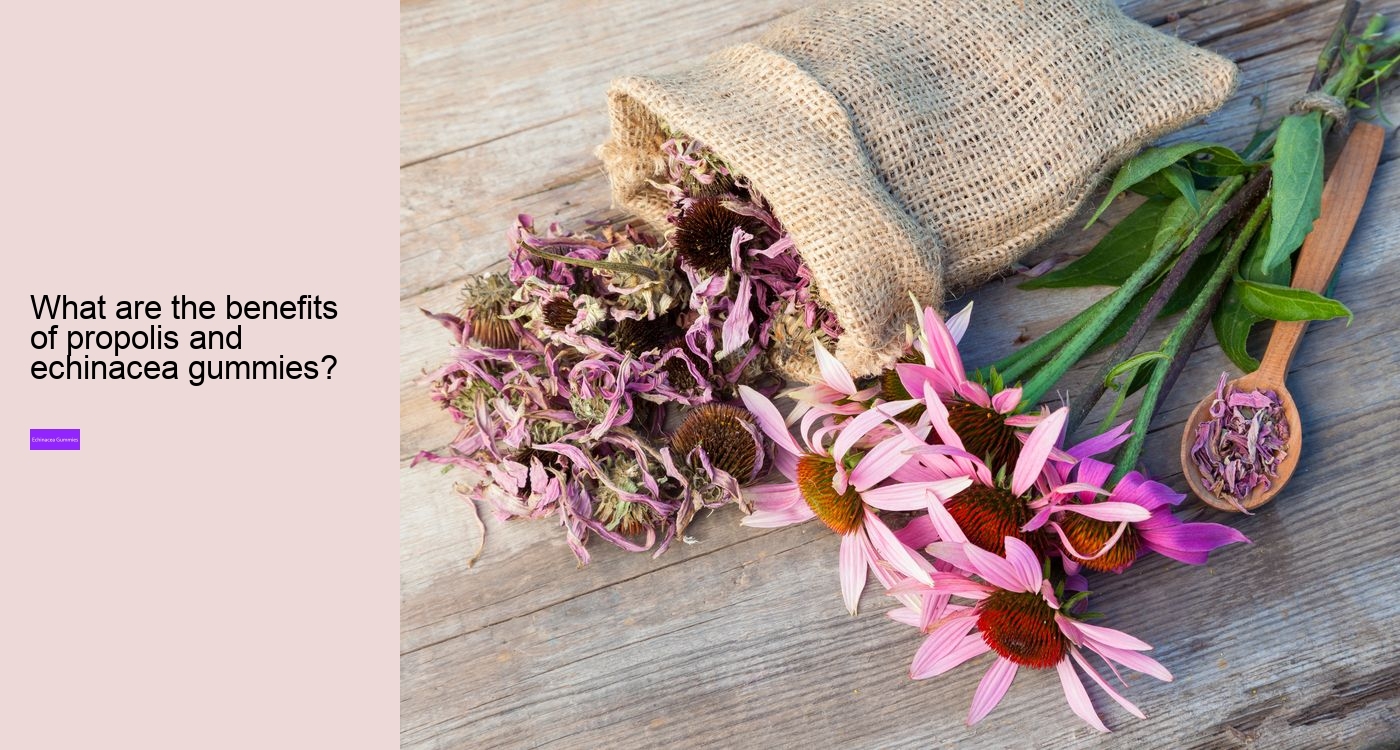 Can echinacea overstimulate the immune system?