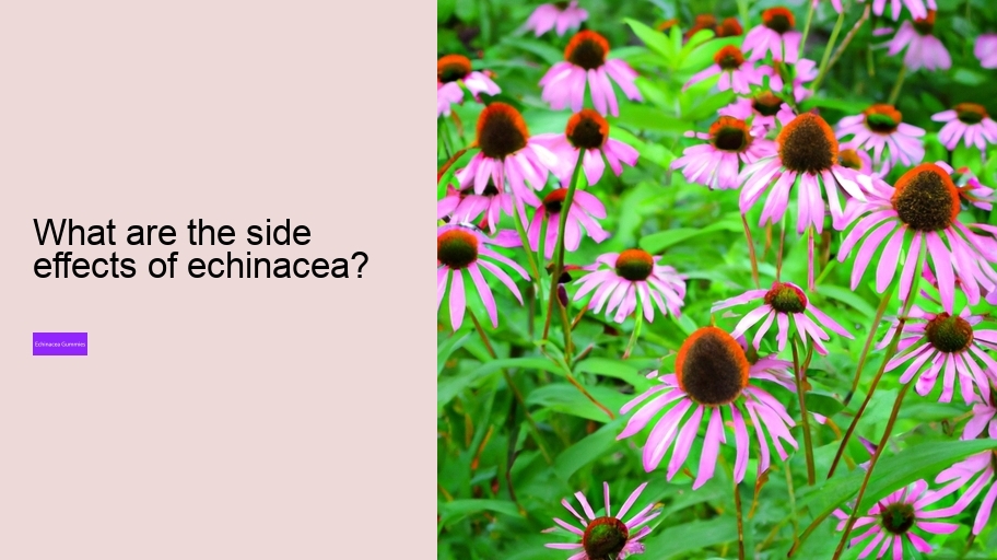 What are the side effects of echinacea?