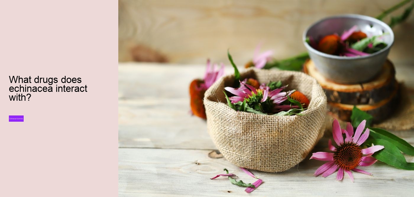 Is echinacea good for your gut?