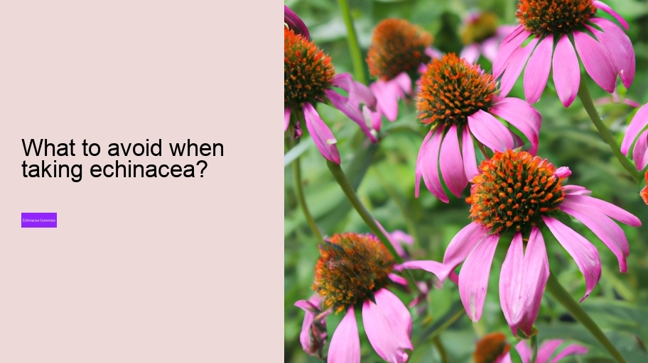 What to avoid when taking echinacea?