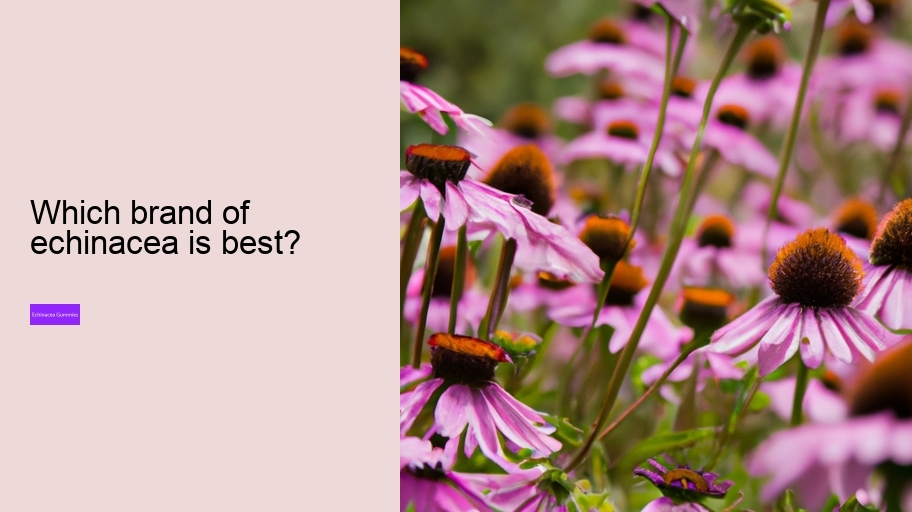 Which brand of echinacea is best?