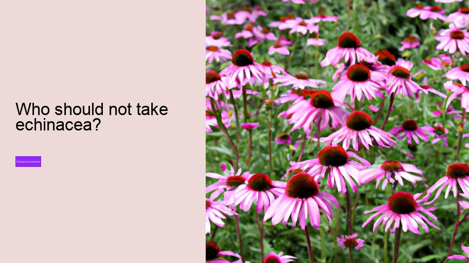 Who should not take echinacea?