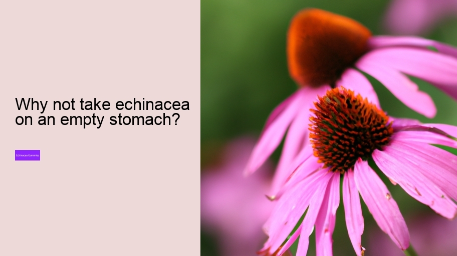 Why not take echinacea on an empty stomach?