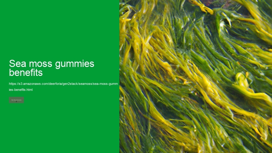 sea moss gummies benefits