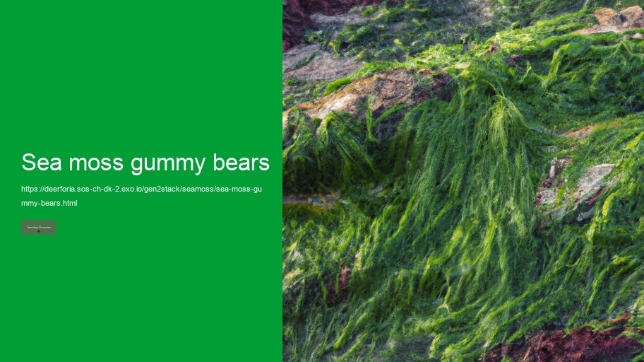sea moss gummy bears