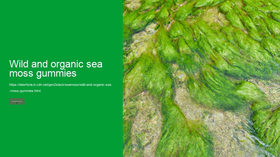 wild and organic sea moss gummies